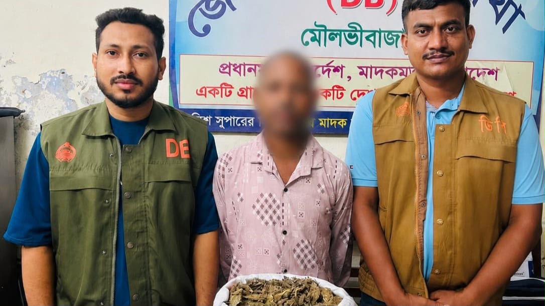 তিন কেজি গাঁজাসহ মাদক কারবারি ডিবির জালে